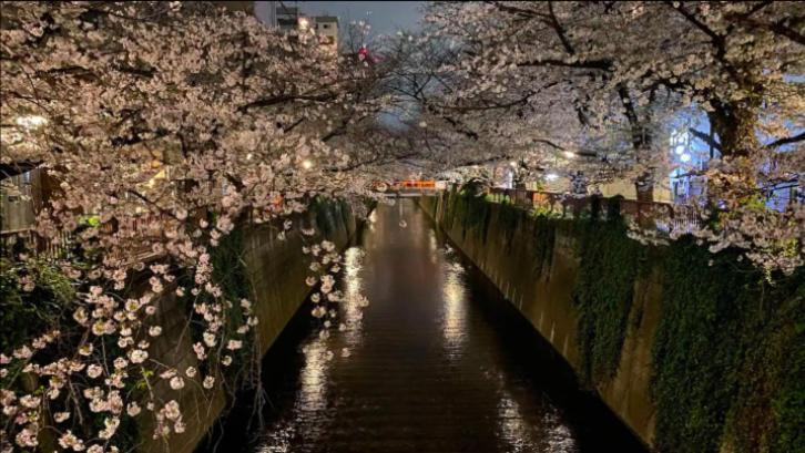 Tsunoya Apartment Tokyo Luaran gambar